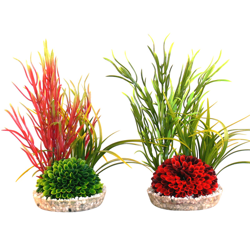 Sydeco® Islet Plant H 20 cm lot de 2 plantes 14,15 €