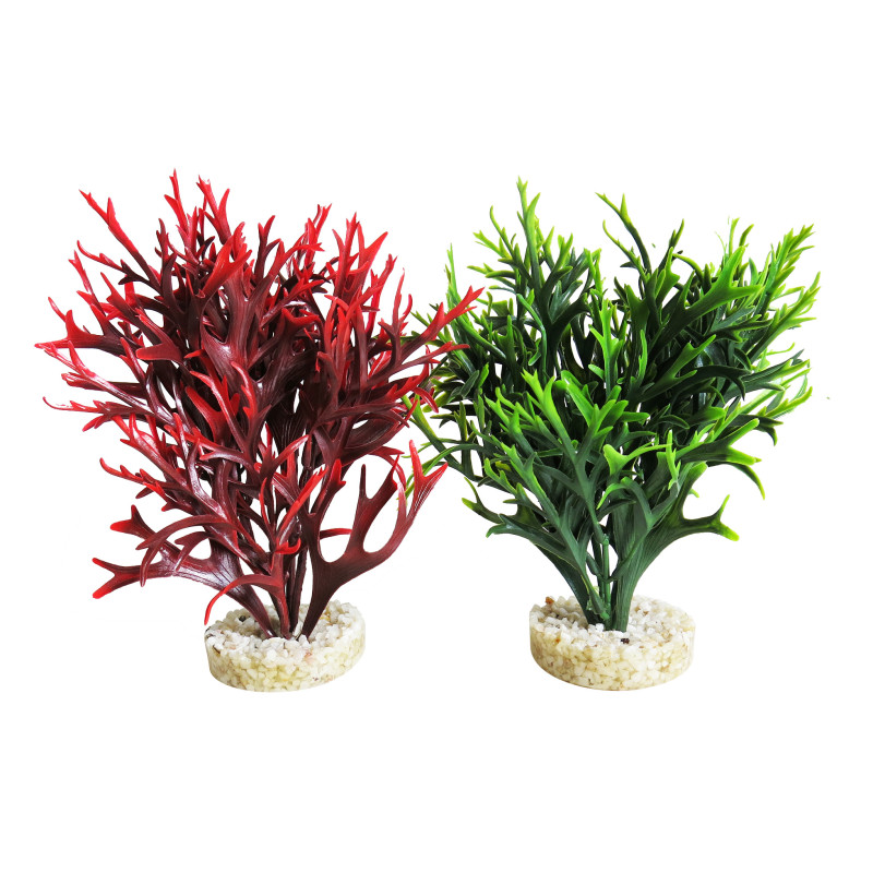 Sydeco® Water Fern Large H 28 cm lot de 2 plantes 12,70 €