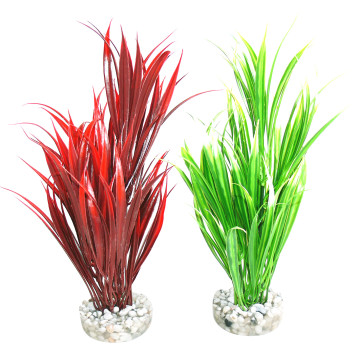 Sydeco® Sword Plant H 25 cm lot de 2 plantes 12,80 €