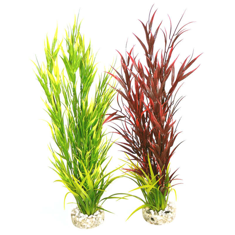 Sydeco® Wild Mountain H 39 cm lot de 2 plantes 18,00 €