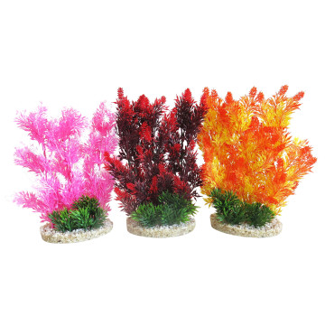 Sydeco® Aquaplant Color Hedge H 24 cm lot de 3 plantes 27,00 €