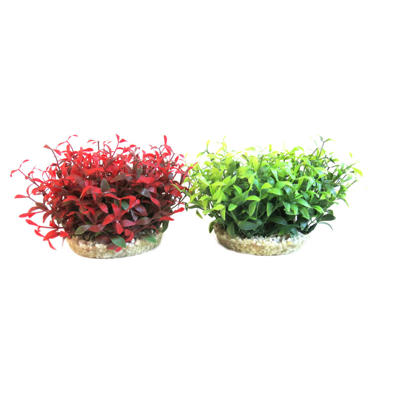 Sydeco® Water Ball Maxi D 15 cm lot de 2 plantes 17,50 €