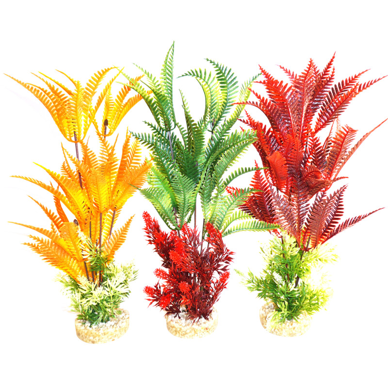 Sydeco Fern XL H 35 cm lot de 3 plantes 34,70 €