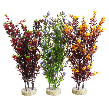 Sydeco® - Flowering X-Large H 35 cm lot de 3 plantes 34,70 €