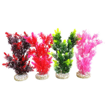 Sydeco® Fiesta Bush H 25 cm lot de 4 plantes 18,40 €