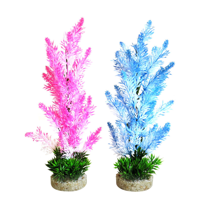 Sydeco® Ice Colour Bush H 30 cm lot de 2 plantes 12,88 €