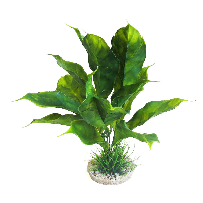 Sydeco® Anubias Plant H 28 cm  11,22 €