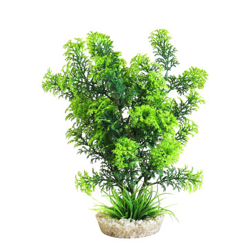 Sydeco® Cabomba Plant H 27 cm 9,20 €