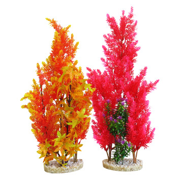 Sydeco® Aquaplant Color Giant H 46 cm lot de 2 plantes 41,20 €