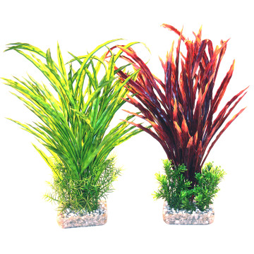 Sydeco® Atoll Maxi H 42 cm lot de 2 plantes 29,99 €