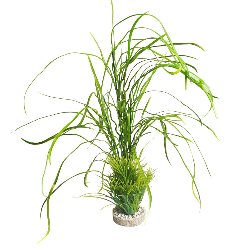 Sydeco® Lily Grass Maxi H 45 cm 11,59 €