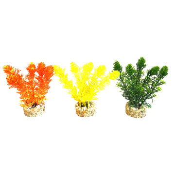 Sydeco® Aqua Mini Flower H 10 cm lot de 3 plantes 6,60 €