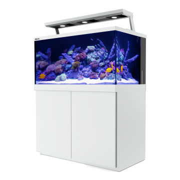 Max® S-500 LED - 3 ReefLED - Blanc + 10% en bon d'achats coraux,poi...