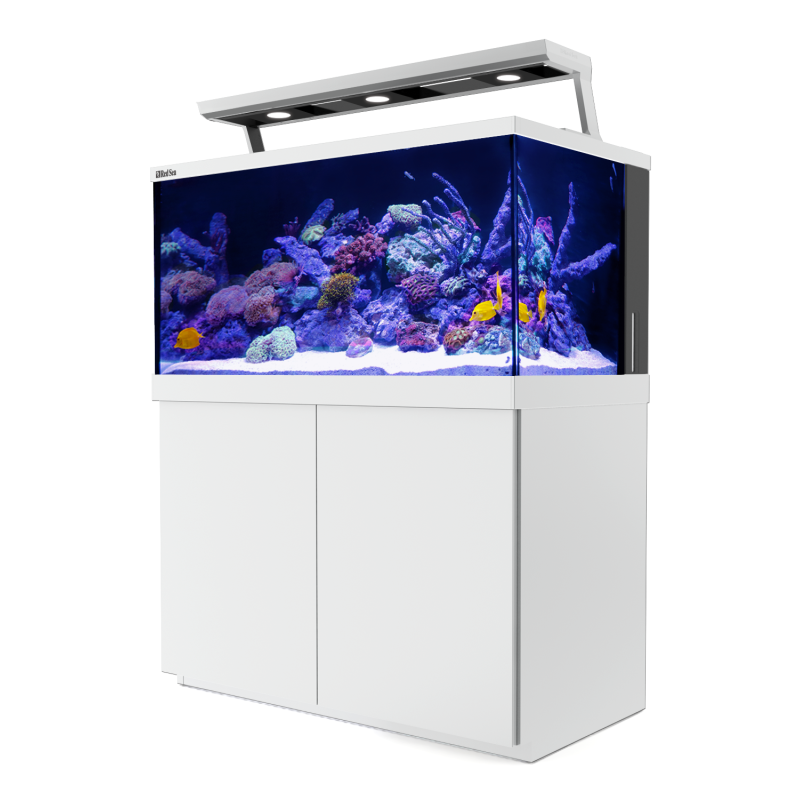 Max® S-500 LED - 3 ReefLED - Blanc + 10% en bon d'achats coraux,poi...