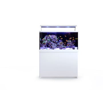 Max® S-500 LED - 3 ReefLED - Blanc + 10% en bon d'achats coraux,poi...