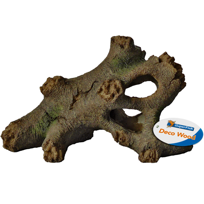 Superfish  tree root s