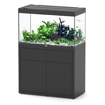 Aquatlantis aquarium SUBLIME 100 x 50 x 60cm avec filtre externe et éclairage LED