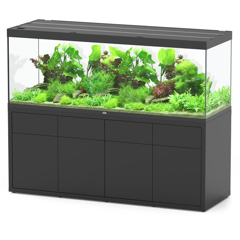 Aquatlantis aquarium SUBLIME 200 x 70 x 75cm avec filtre externe et...