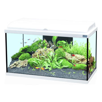 Aquatlantis Aquadream 60 complet avec filtre Biobox et éclairage LE...