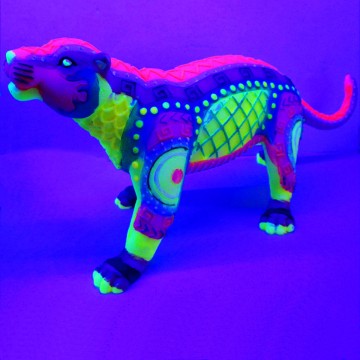 Aqua Della Dia de los muertos jaguar multicolore phosphorescent