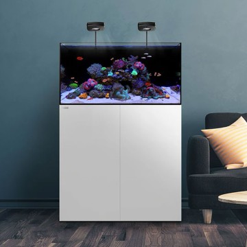 Waterbox aquarium marin AIO 50.3