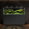 Waterbox aquarium eau douce Clear PRO 6025 + bon d'achats plantes e...