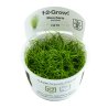 Tropica 1-2-Grow! Eleocharis acicularis 6,95 €