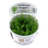 Tropica 1-2-Grow! Myriophyllum 'Guyana' 6,95 €