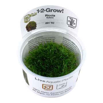 Tropica 1-2-Grow! Riccia fluitans