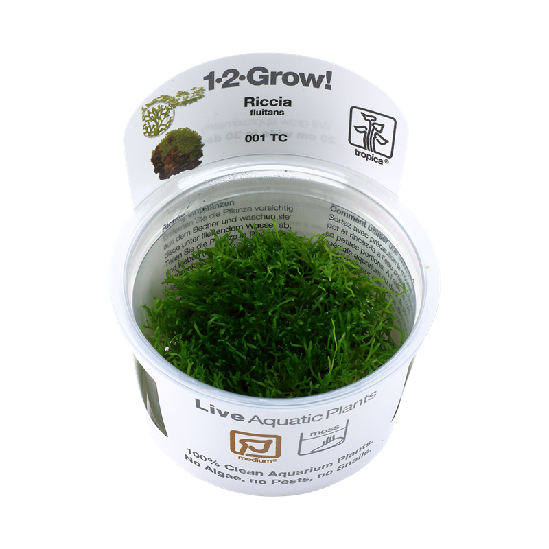 Tropica 1-2-Grow! Riccia fluitans 6,95 €