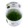 Tropica 1-2-Grow! Riccia fluitans 6,95 €