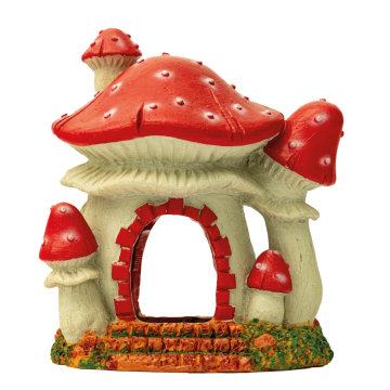 Superfish mushroom house s