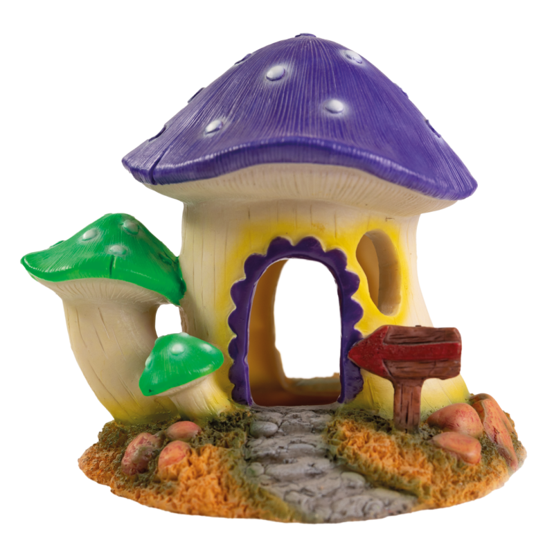 Superfish mushroom house m 15,95 €