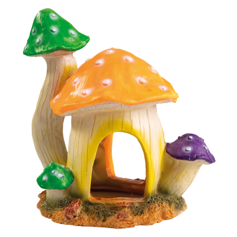 Superfish mushroom house l