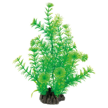 Superfish art plant 25cm cabomba 6,00 €