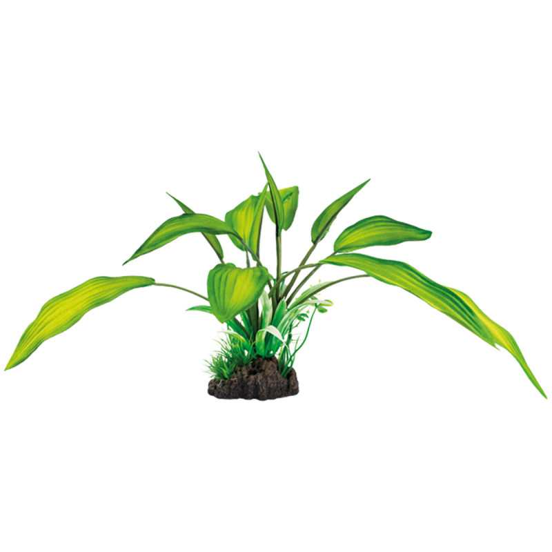 Superfish art plant 25cm cryptocoryne 6,80 €