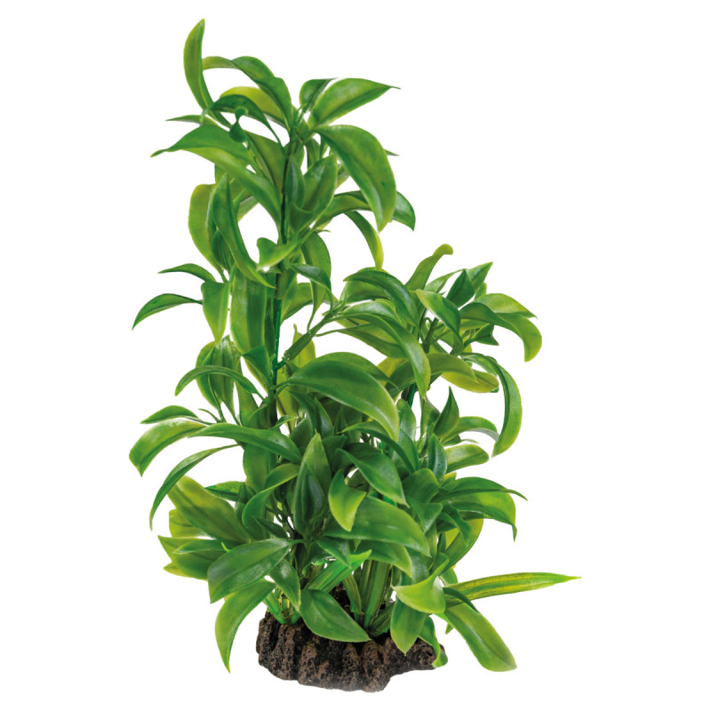 Superfish  art plant 25cm dracaena