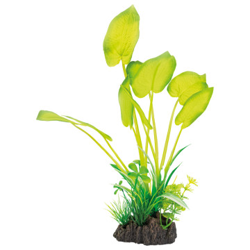 Superfish art plant 25cm echinodorus 7,50 €