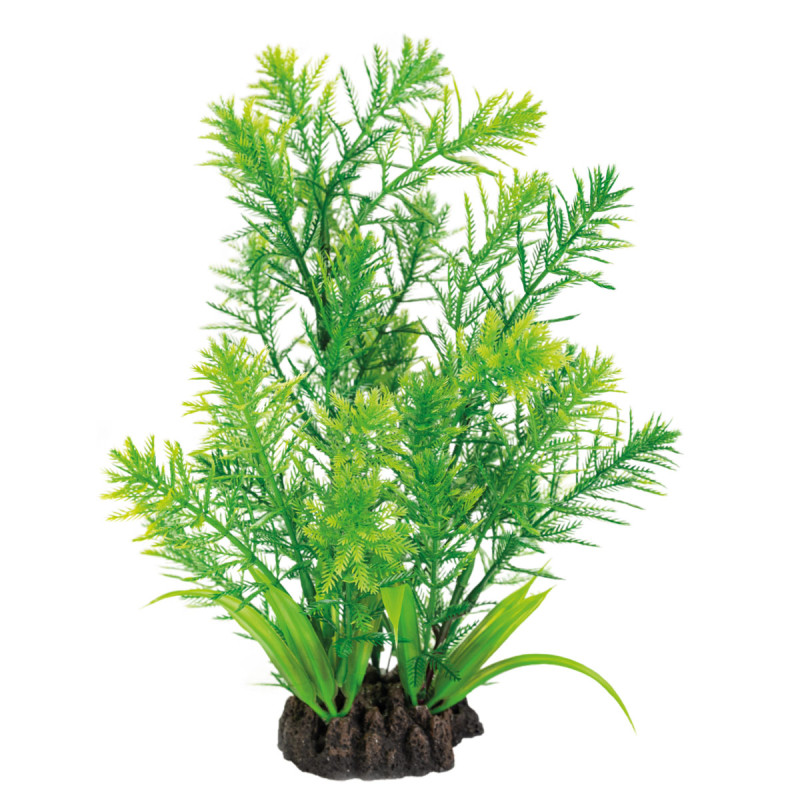 Superfish  art plant 25cm hottonia