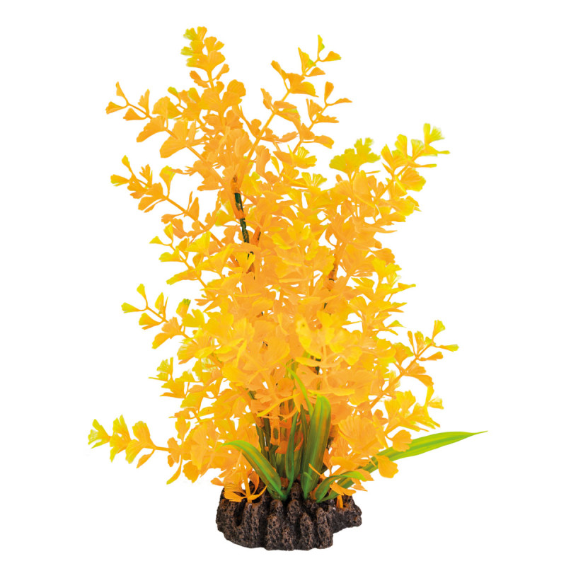 Superfish  art plant 25cm ludwigia orange