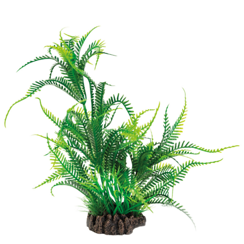 Superfish art plant 25cm microsorum 7,50 €