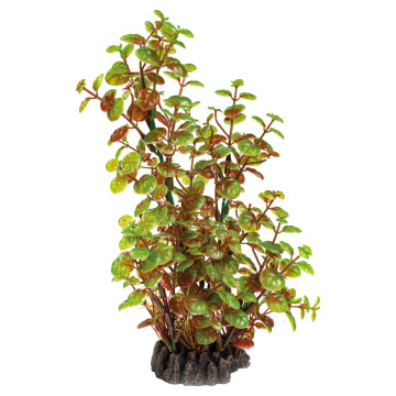 Superfish  art plant 25cm rotala