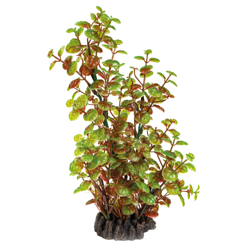 Superfish art plant 25cm rotala 7,50 €