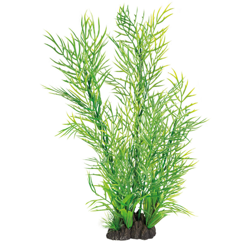 Superfish art plant 40cm ceratopteris 11,00 €