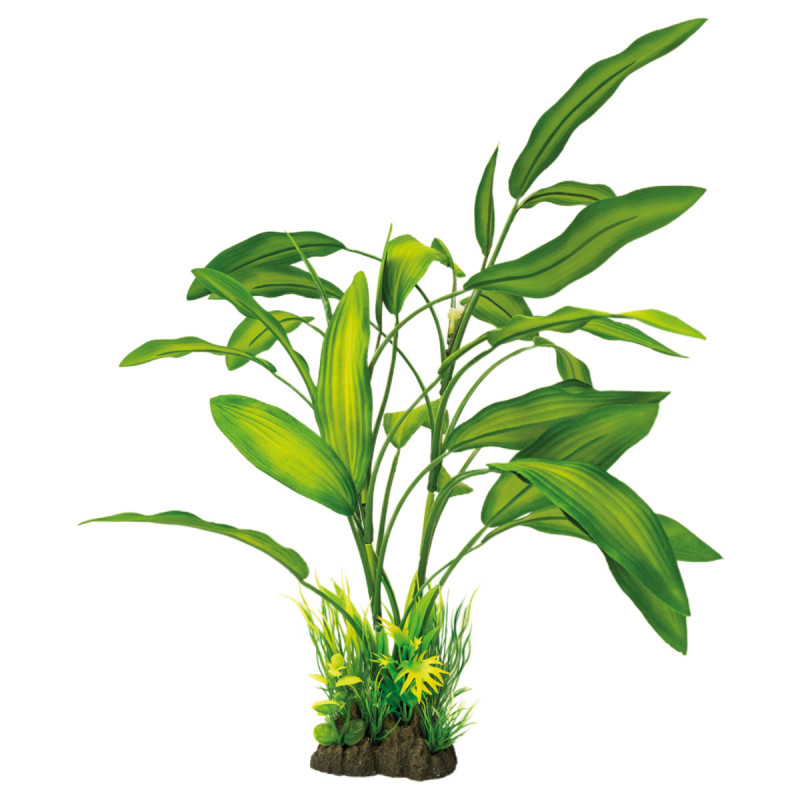 Superfish art plant 40cm cryptocoryne 11,00 €