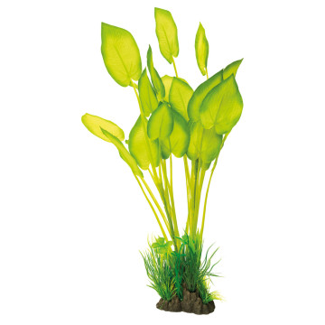 Superfish art plant 40cm echinodorus 11,00 €