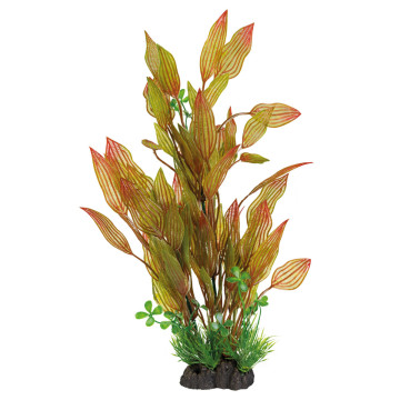 Superfish  art plant 40cm henkelianus