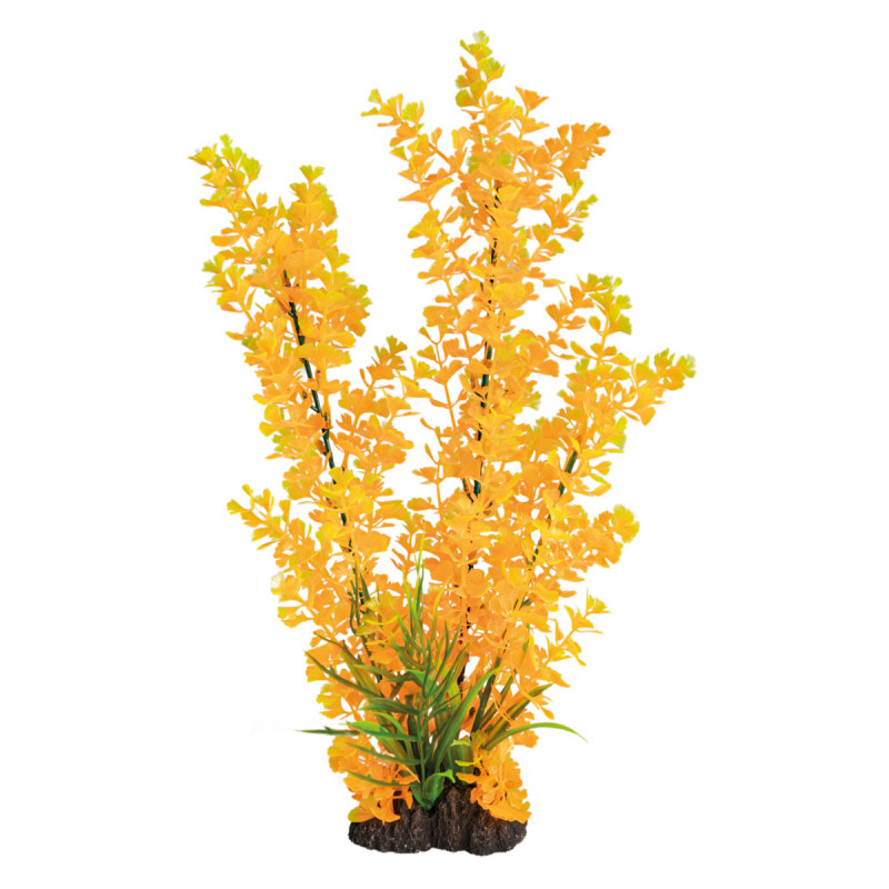 Superfish  art plant 40cm ludwigia orange