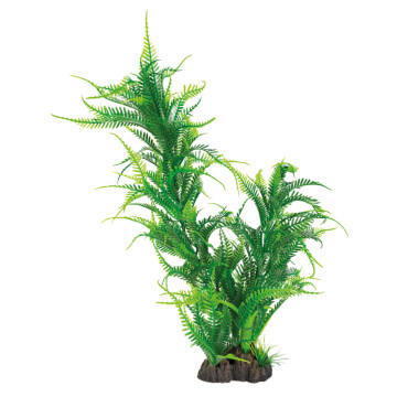 Superfish  art plant 40cm microsorum