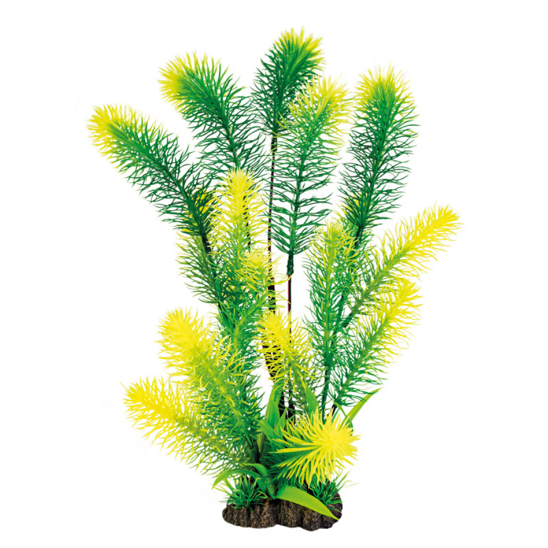 Superfish art plant 40cm myriophyllum 11,00 €